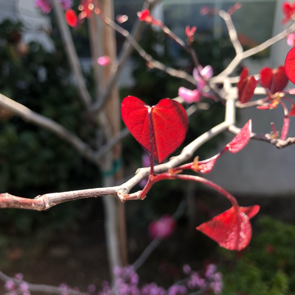 Meet your Posher, Marisa